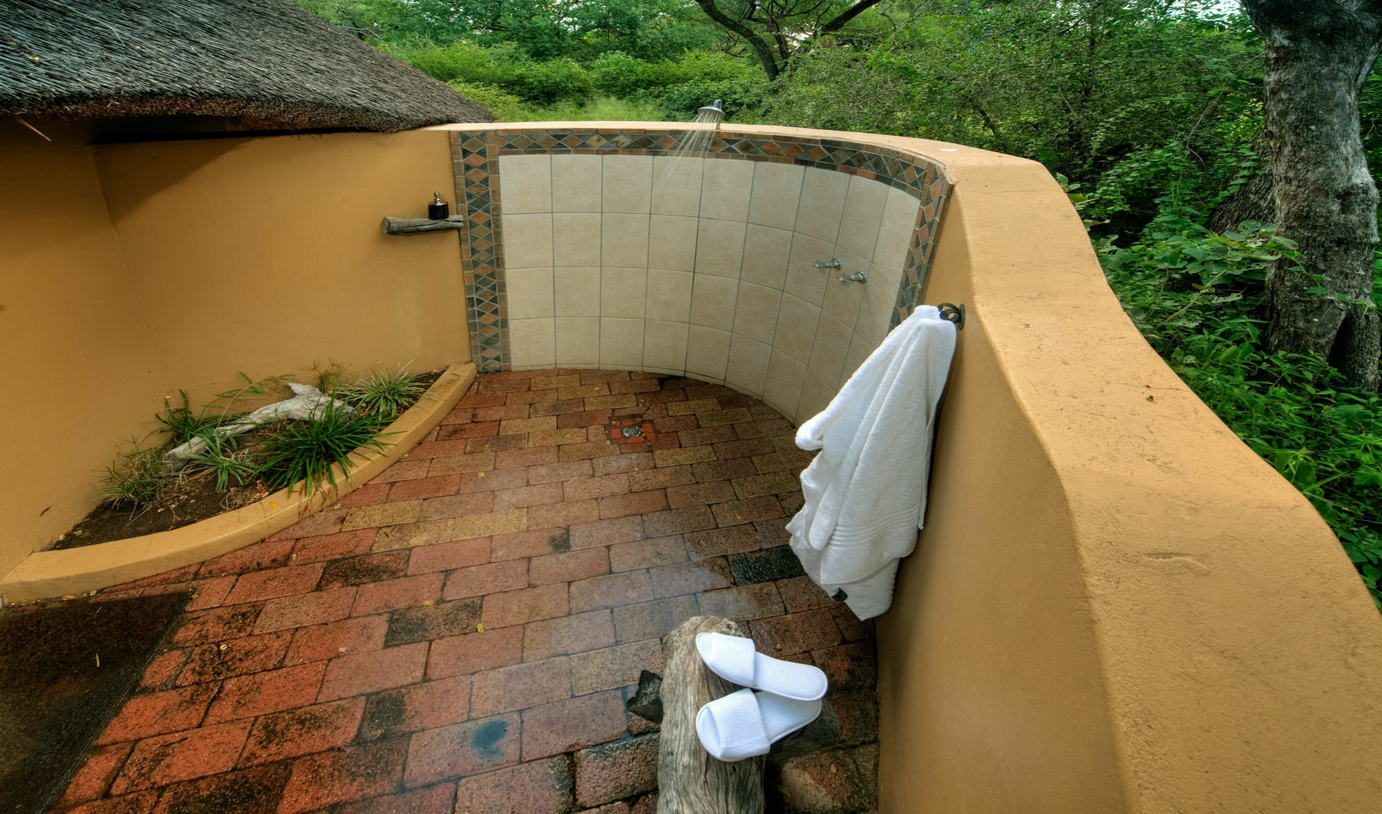 Royal Tree Lodge Maun Exterior foto